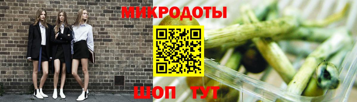 Сухой Лог  Псилоцибиновые грибы Magic Shrooms  наркота  Вход с VPN 