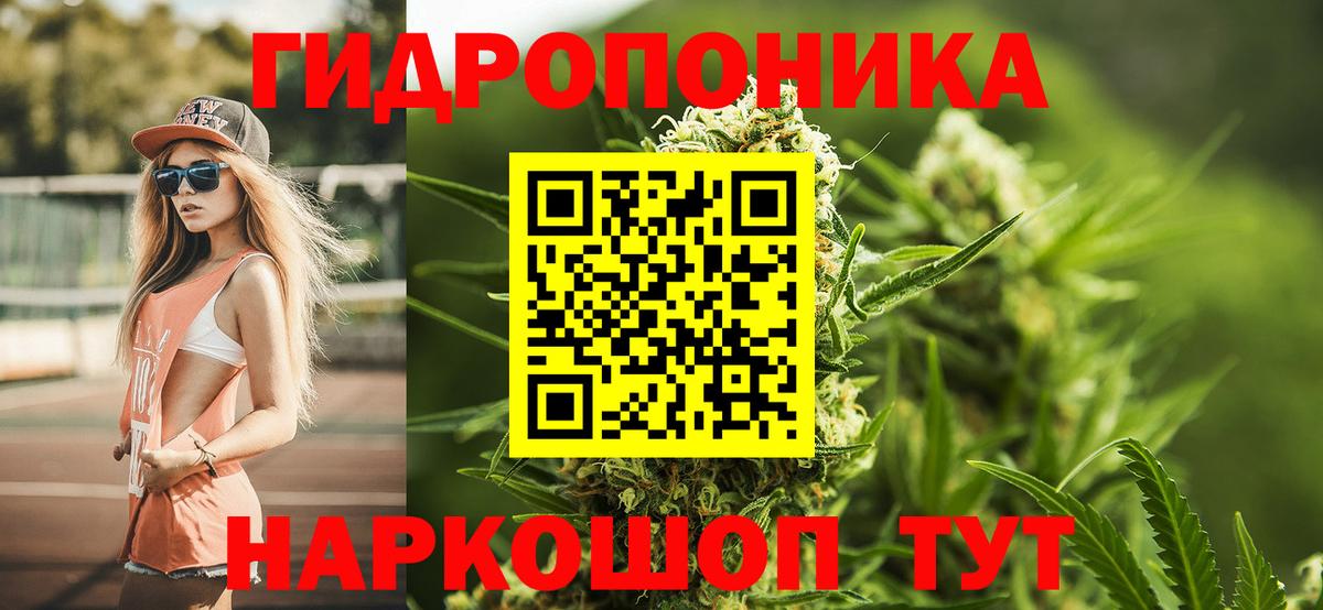 Канабис OG Kush  Вход с VPN  Бошки Шишки VHQ  Сухой Лог  Бошки Шишки сатива 